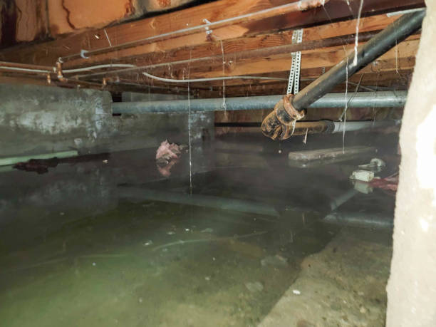 Best Water damage restoration process  in Bristol, VA