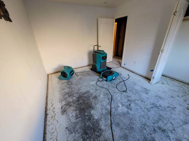 Best Sewage cleanup and water damage restoration  in Bristol, VA
