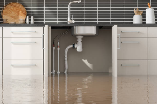 Best Water damage repair service  in Bristol, VA