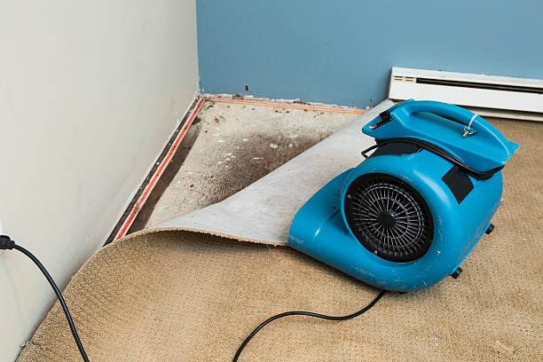 Best Professional water damage repair  in Bristol, VA
